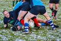 Monaghan Legends V Perennials (13)